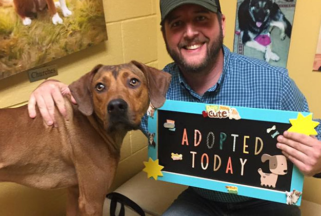 Happy endings for Adler and Rosemary!